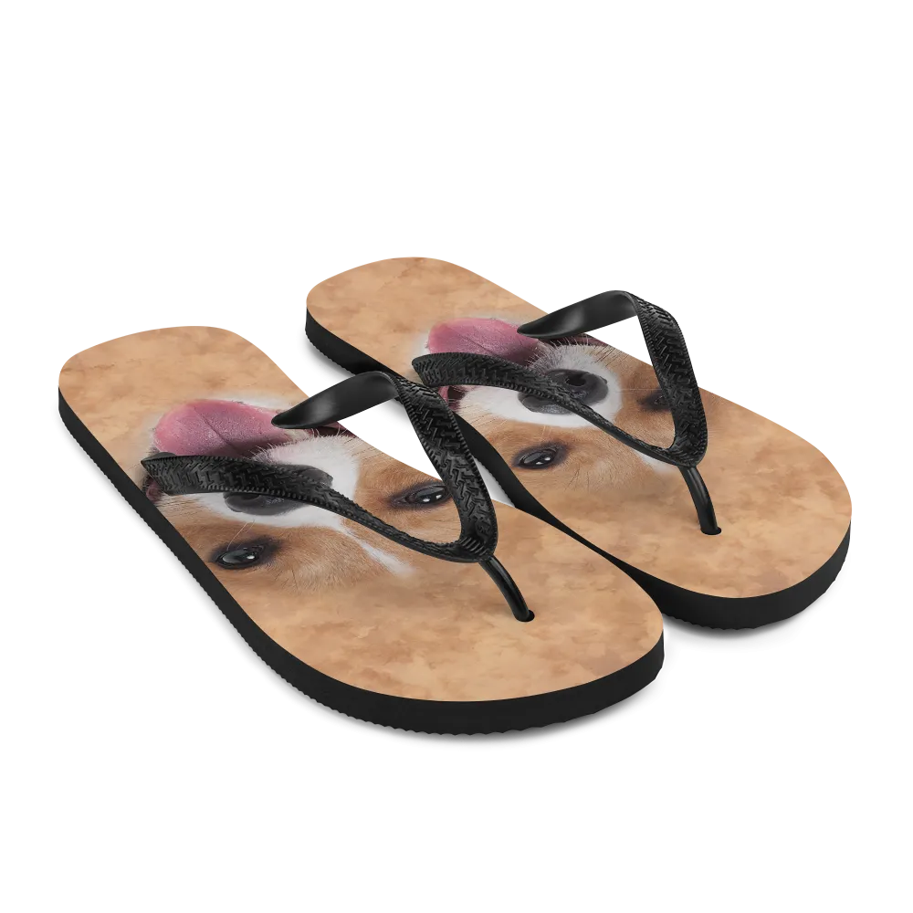 Corgi Dog Flip-Flops